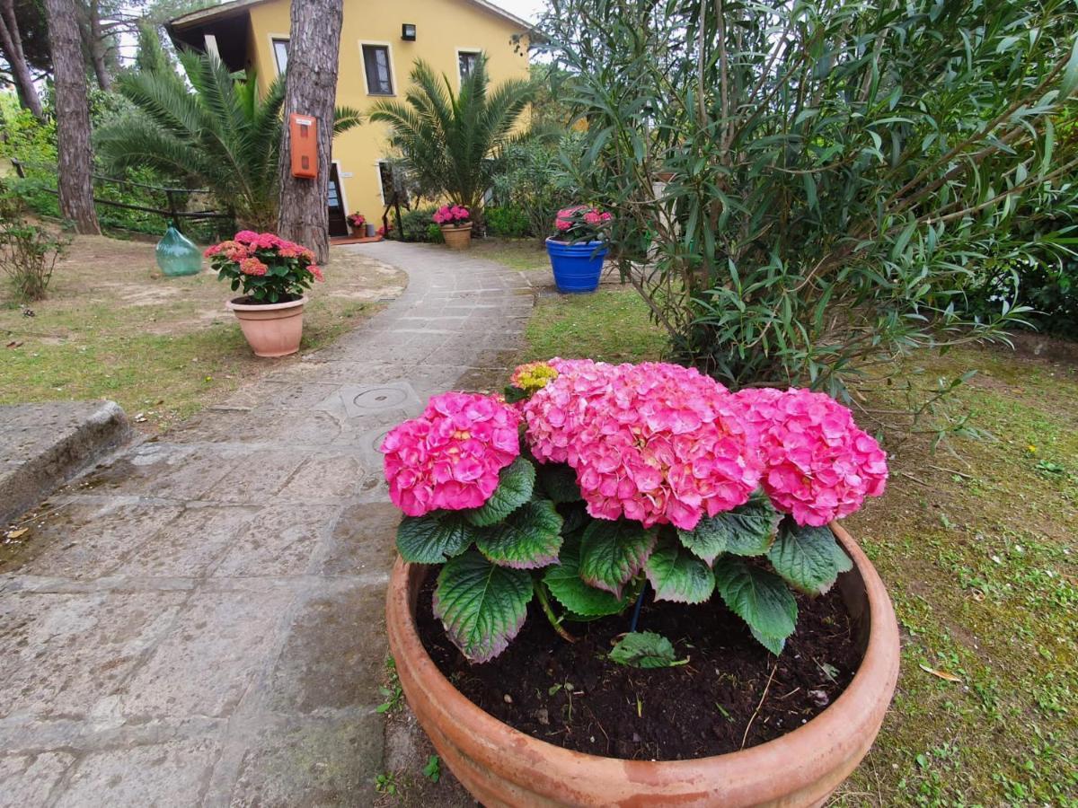 Toscana Holiday Village Montopoli in Val dʼArno Εξωτερικό φωτογραφία