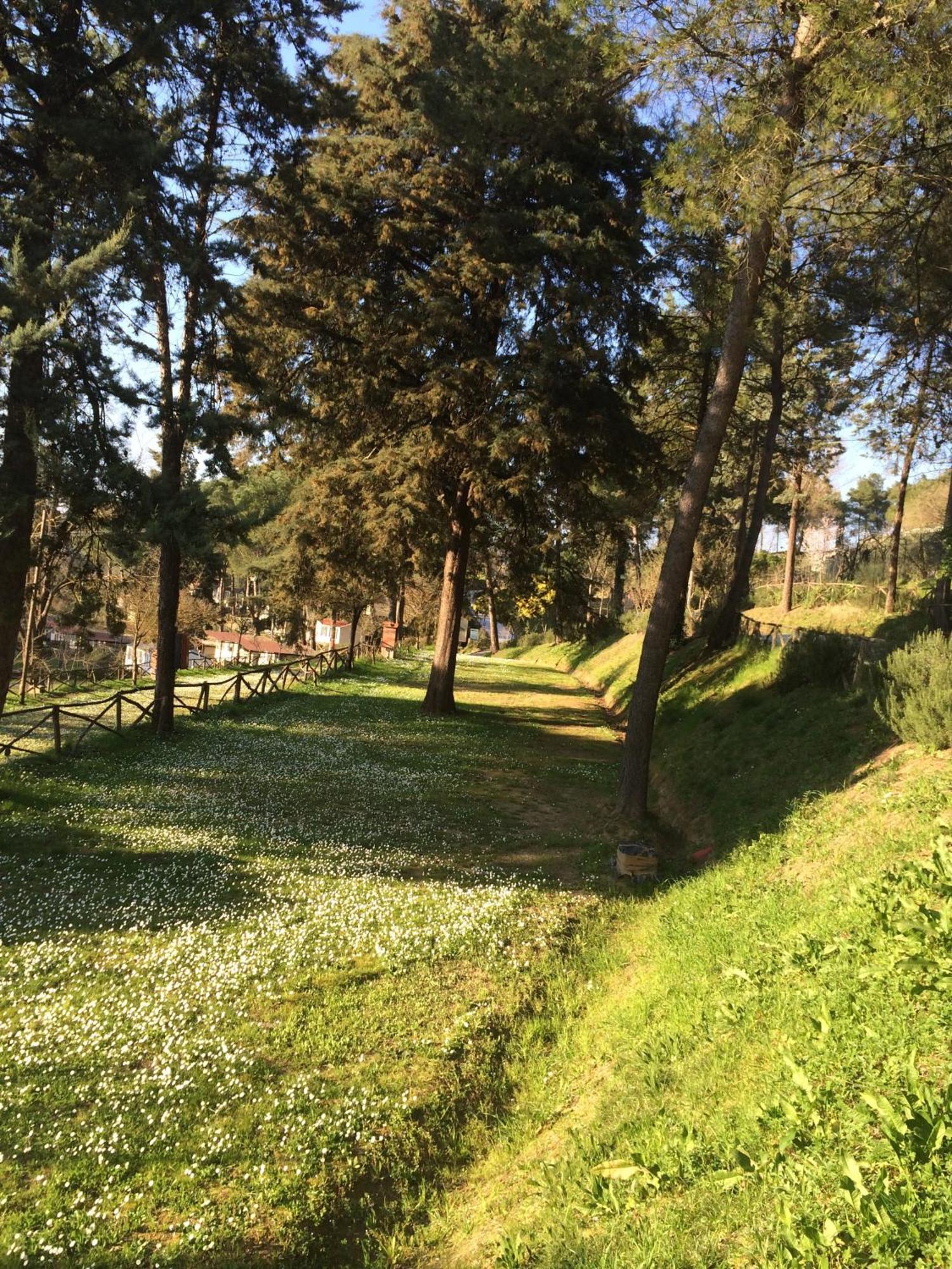 Toscana Holiday Village Montopoli in Val dʼArno Εξωτερικό φωτογραφία